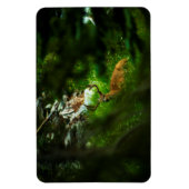 De Forest Prince Magneet (Verticaal)