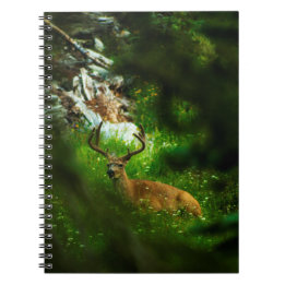 De Forest Prince Notitieboek