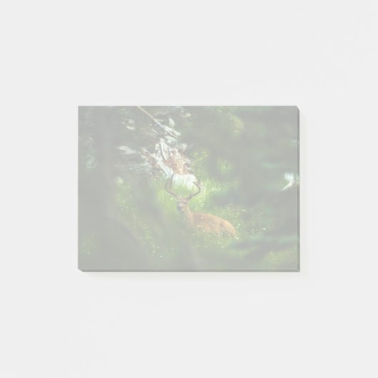 De Forest Prince Post-it® Notes (Voorkant)