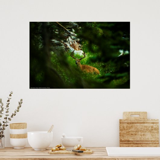 De Forest Prince Poster (Keuken)