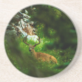 De Forest Prince Zandsteen Onderzetter