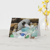 De Fossielen van het Glas van het Zee van het Kaart (Gele Bloem)