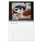De Foster Kitten Agenda 2018 van Platoshyn Kalender (Feb 2027)