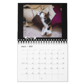 De Foster Kitten Agenda 2018 van Platoshyn Kalender (Mar 2027)