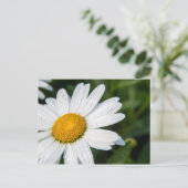 de foto, een margueritte, doen groen briefkaart (Staand voorkant)