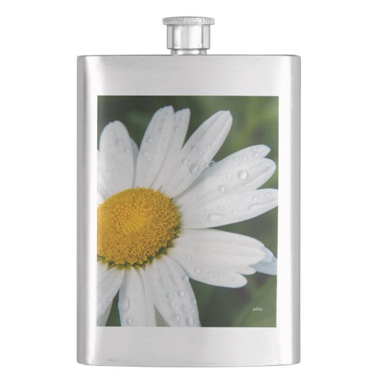 de foto, een margueritte, doen groen flacon (Voorkant)