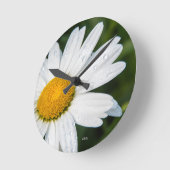 de foto, een margueritte, doen groen ronde klok (Hoek)