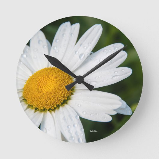 de foto, een margueritte, doen groen ronde klok (Voorkant)