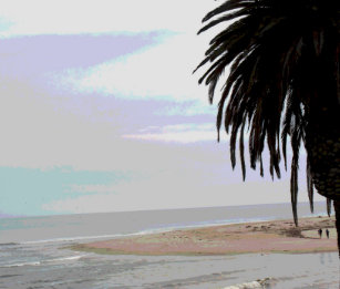 Download Themed het strand verlovingsfeest decoraties Desktop Wallpaper