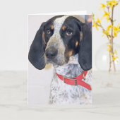 De Foto van Coonhound van Bluetick Kaart (Gele Bloem)