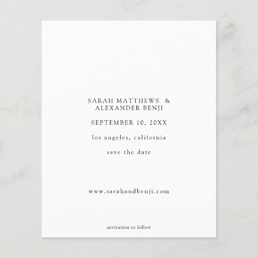 De Foto van de begroting - Verticaal sparen de Dat (Achterkant)