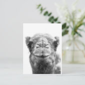 De Foto van de Close-up van de Pret van de Kussen Briefkaart (Staand voorkant)