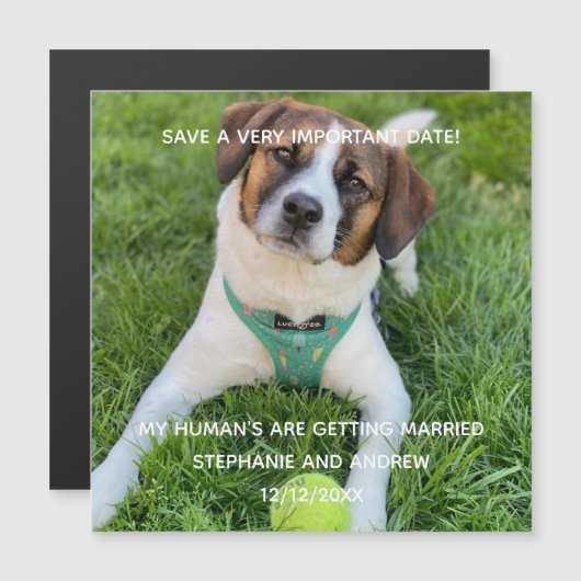 De Foto van de Dog bewaart de Verloving Magnet van (Voorkant / Achterkant)