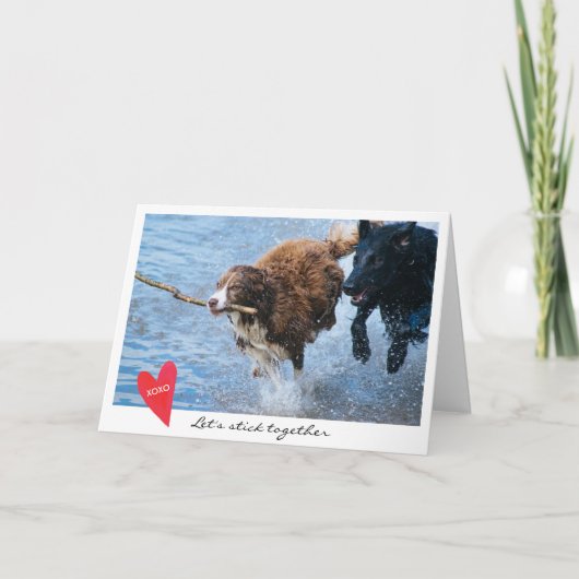 De Foto van de Hond van de Valentijnsdag plakken Feestdagen Kaart (Voorkant)