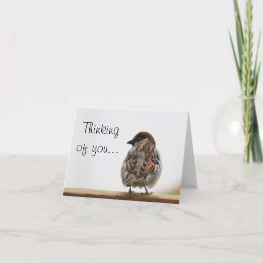 De foto van de mus kaart (Voorkant)