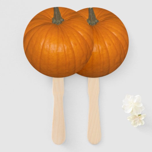 De Foto van de pompoen Handwaaier (Voorkant en achterkant)