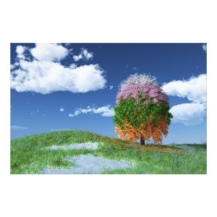 De foto van de seizoenboom afdrukken afdruk