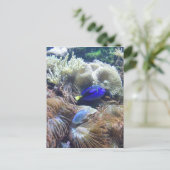 De Foto van de Vissen van het aquarium Briefkaart (Staand voorkant)