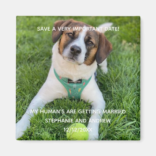 De Foto van Dog bewaart de Kaart van het Verloving Magneet (Voorkant)