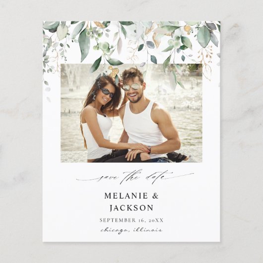 De Foto van Eucalyptus van de begroting sparen de (Voorkant)