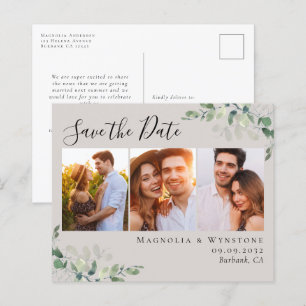 De Foto van Eucalyptus van de begroting sparen het