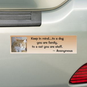 De Foto van het Close-up van het Gezicht van het Bumpersticker