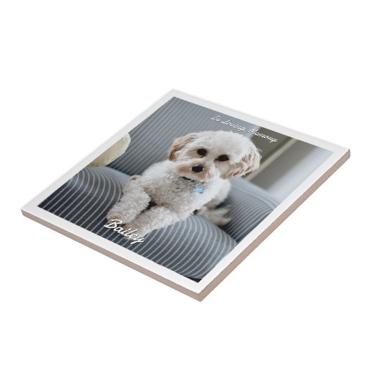 De foto van je hond, scriptnaam, in liefdevolle he tegeltje (Zijkant)