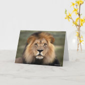 De Foto van leeuwen Kaart (Gele Bloem)