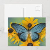 De Foto van Washington van Sammamish van Vlinder Briefkaart (Voorkant / Achterkant)