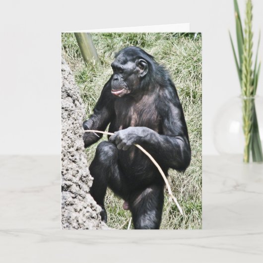De Foto w die van de chimpansee Thomas Edison Kaart (Voorkant)