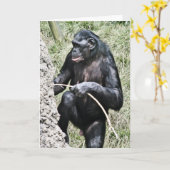De Foto w die van de chimpansee Thomas Edison Kaart (Gele Bloem)