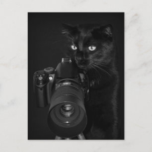 De fotograaf - ansichtkaart briefkaart