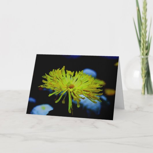 De Fotografie van de natuur Kaart (Voorkant)