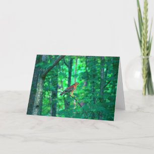 De Fotografie van de natuur Kaart