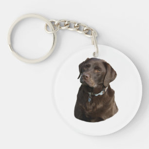 De fotoportret van de Labrador van de chocolade Sleutelhanger