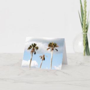 De Foto's van het Strand van de palm Kaart