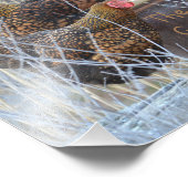 De foto's voor meisjes foto afdruk (Hoek)