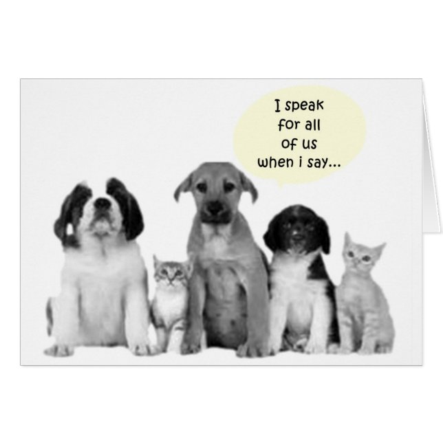 DE FRACTIE SPREEKT UIT-FAB BIJ "40!" (Voorkant Horizontaal)