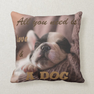 De franse bulldog   alles wat je nodig hebt is.. kussen
