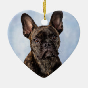 De Franse Bulldog Keramisch Ornament