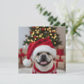 De Franse Bulldog Kerst Groet Kaart (Staand voorkant)
