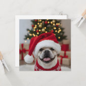De Franse Bulldog Kerst Groet Kaart (Voorkant / Achterkant in situ)
