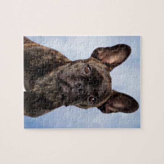 De Franse Bulldog Legpuzzel (Horizontaal)