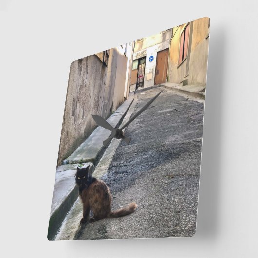 De Franse kat Vierkante Klok (Hoek)