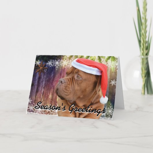 De Franse Kerstkaart van de Mastiff Feestdagen Kaart (Voorkant)
