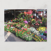 de franse markt in Nice Briefkaart (Voorkant)