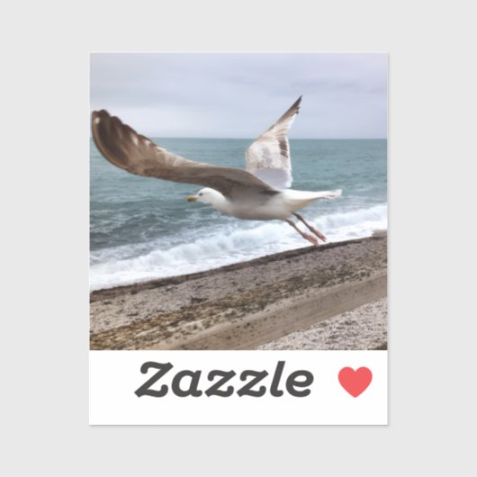 De Franse meeuw van Etretat Sticker (Vel)