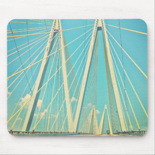 De Fred Hartman Bridge Muismat