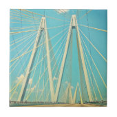 De Fred Hartman Bridge Tegeltje (Voorkant)