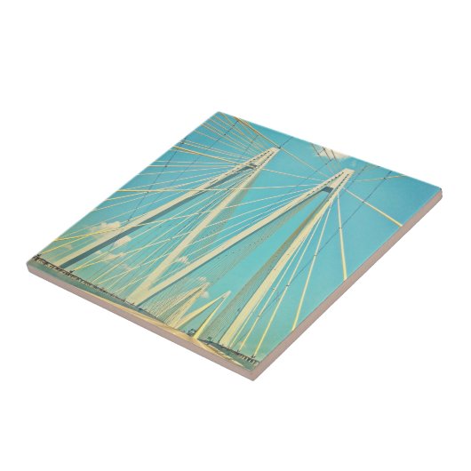 De Fred Hartman Bridge Tegeltje (Zijkant)